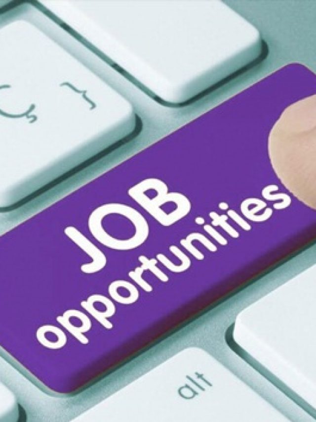 jobs opportunity 2025