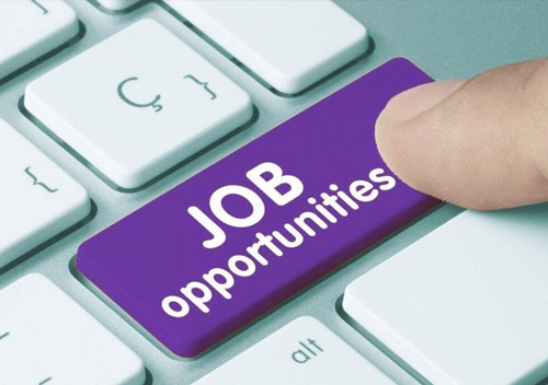 jobs opportunity 2025