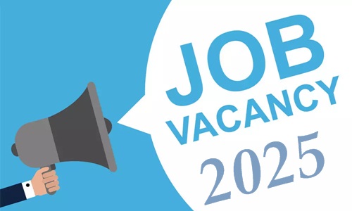 jobs vacancies 2025